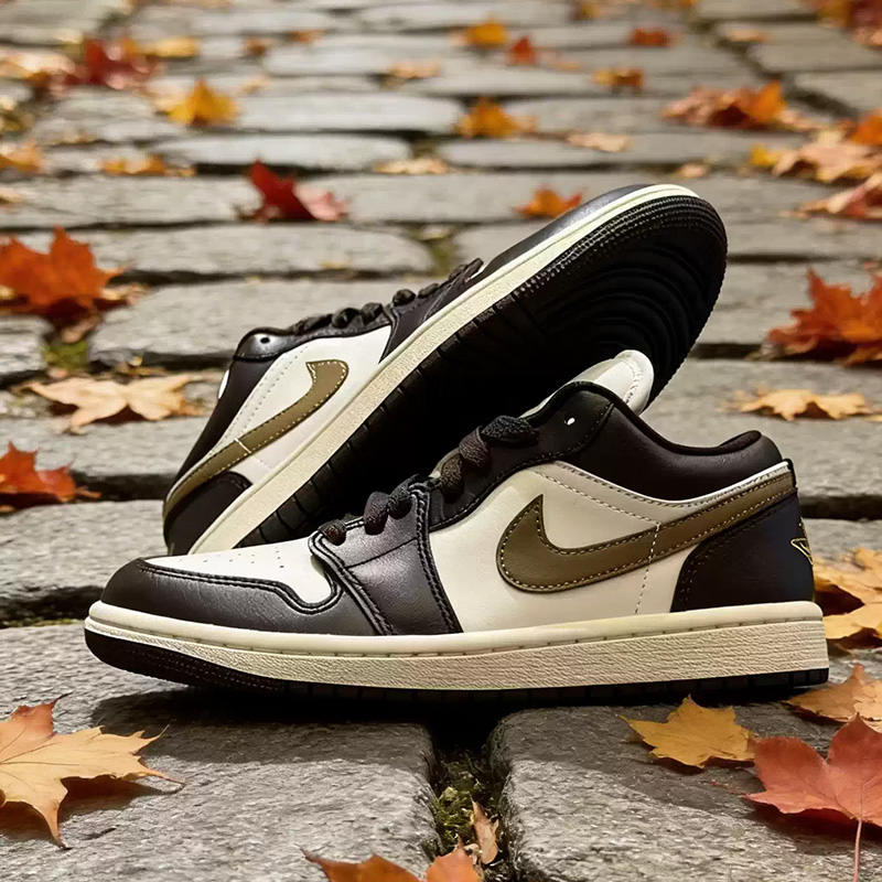Nike Jordan Air Jordan1 Low Bi - Women Shoes Jordan recensione e prezzo