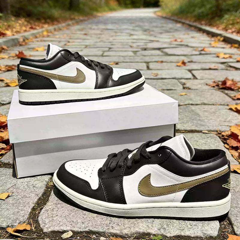 Nike Jordan Air Jordan1 Low Bi - Women Shoes Jordan recensione e prezzo